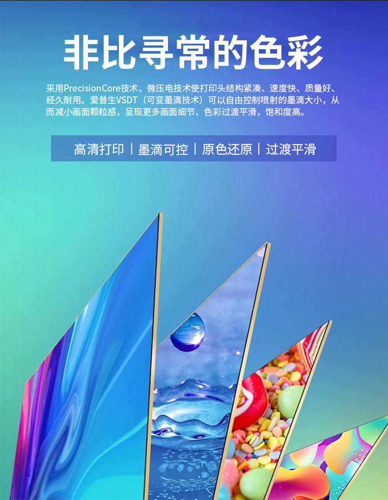 SP800 网带机(图4)