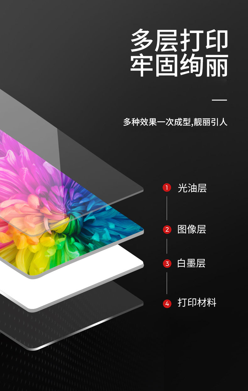 SP800 网带机(图6)