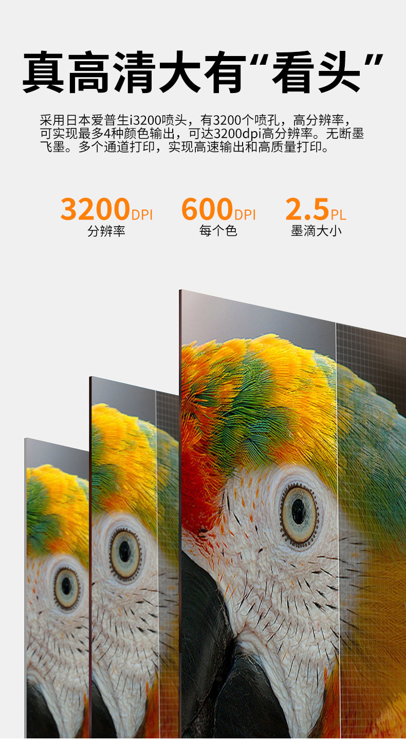 SP800 网带机(图5)